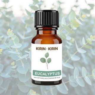 Eucalyptus Etherische Olie - 10 ml